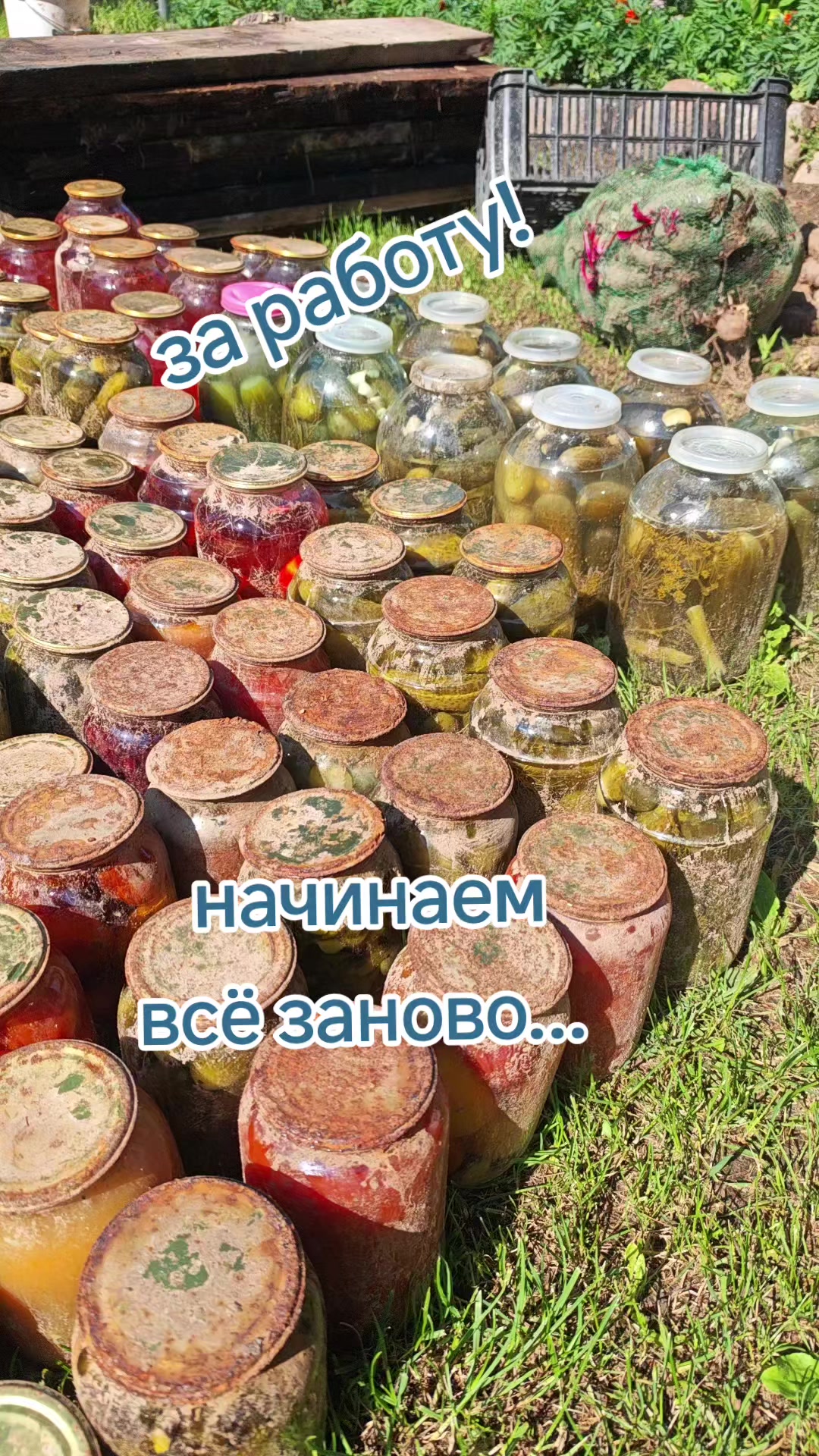 @Картофель Могилёв