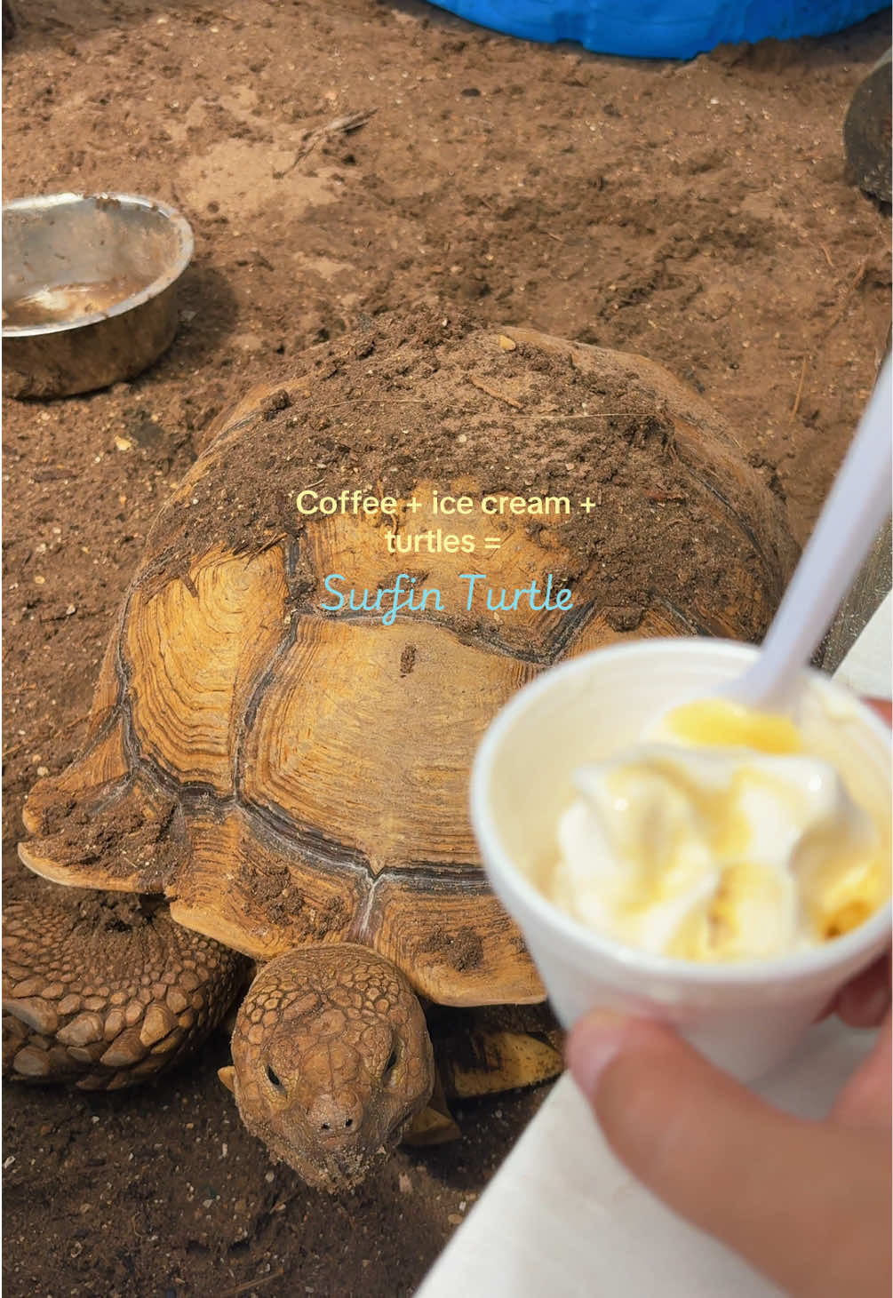 @☁️ Daydreamin’ D ✨