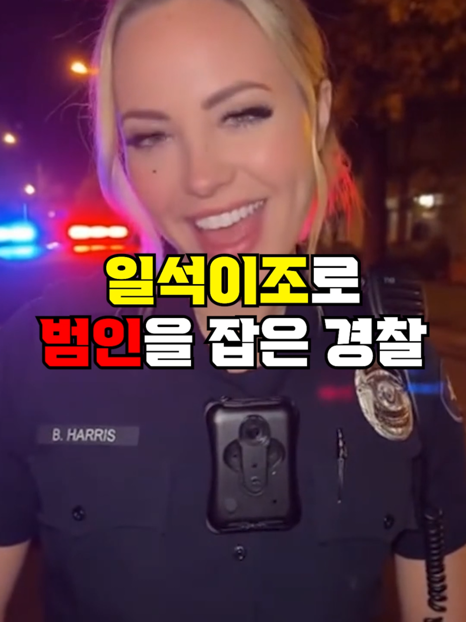 @뚝딱 상식 뚝배기