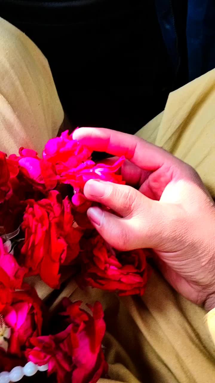 @𝙕i𝖘𝖍u🌸🥀