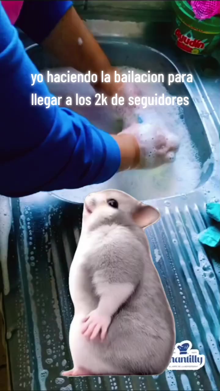 @tita