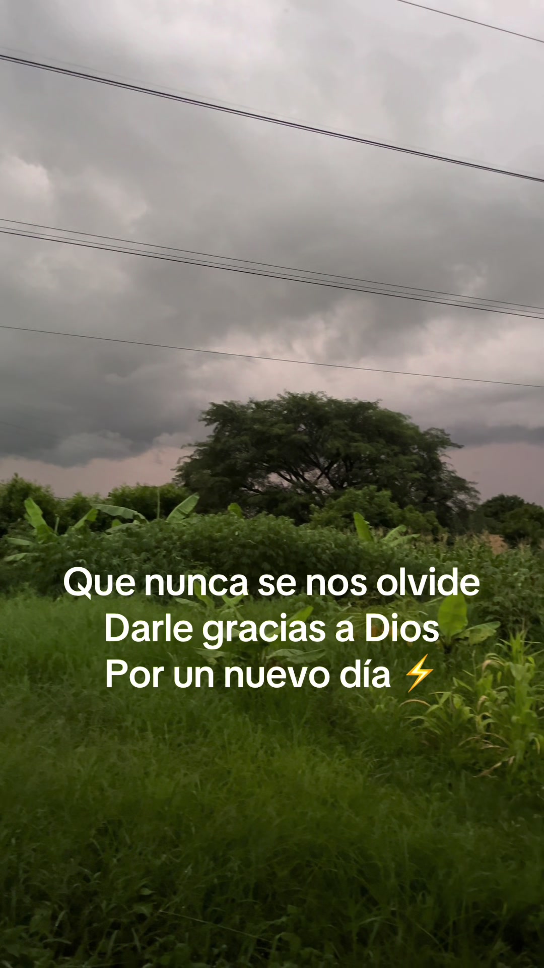 @lacasa.delos90#2