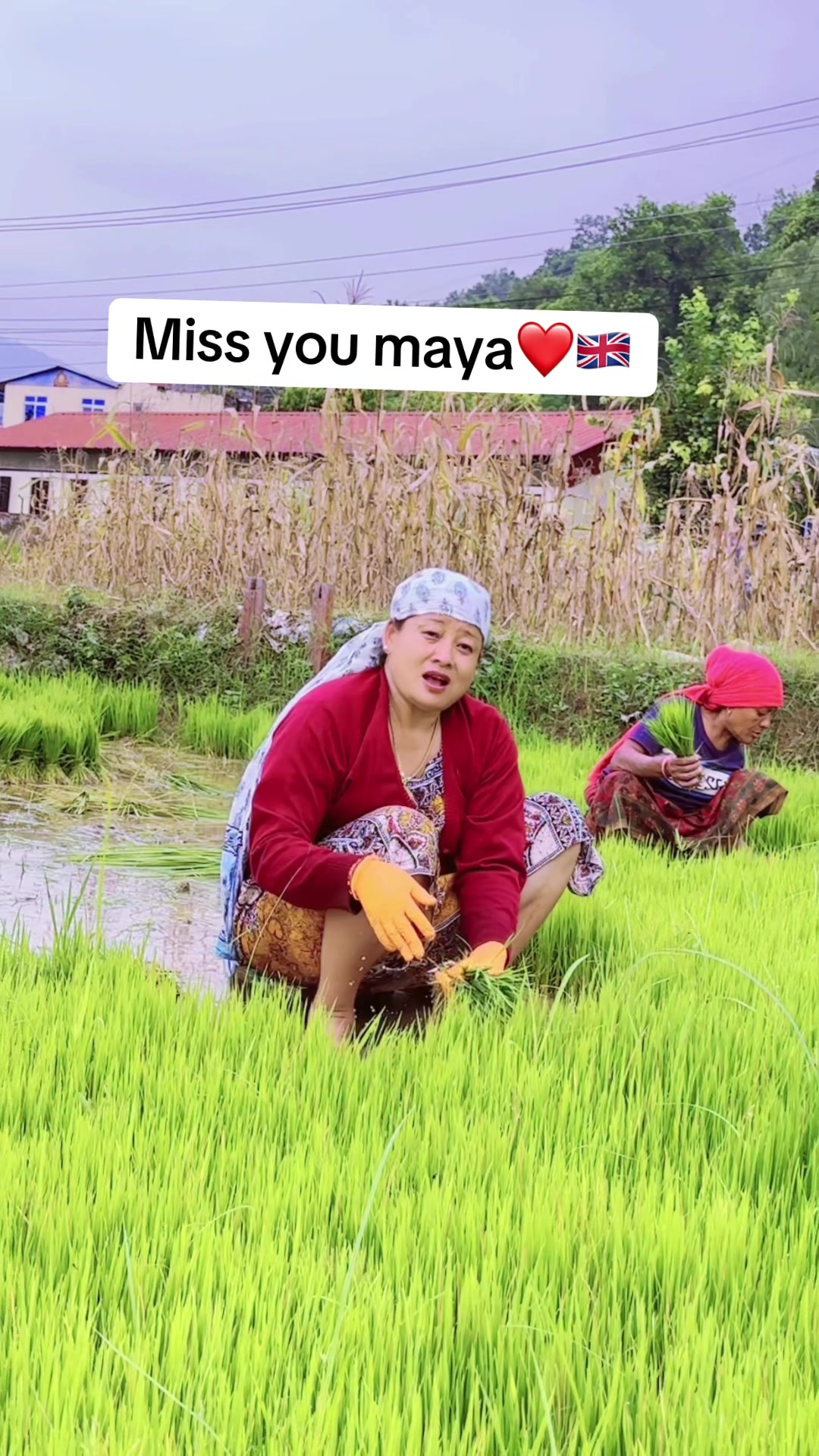 @Kamala Gurung800