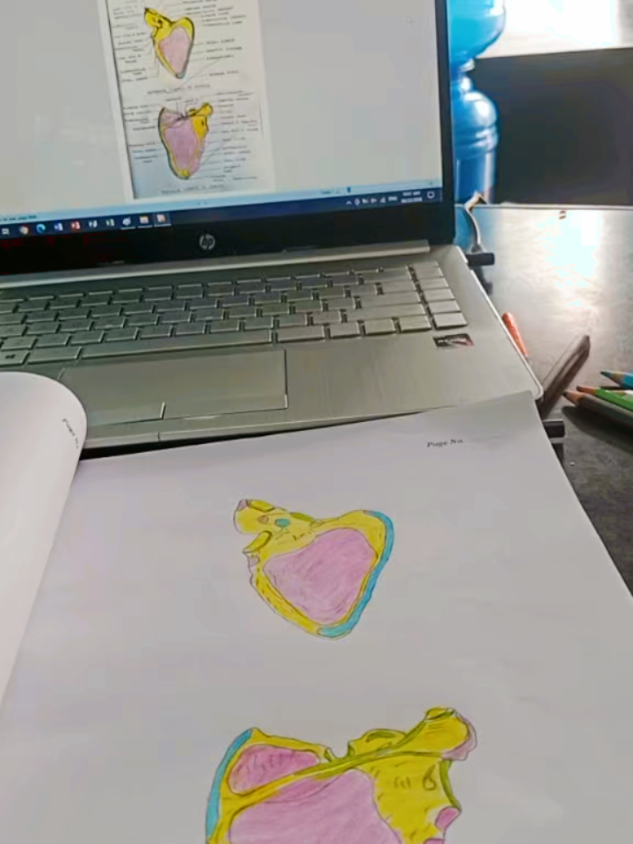 @Deepakcthapa✝️
