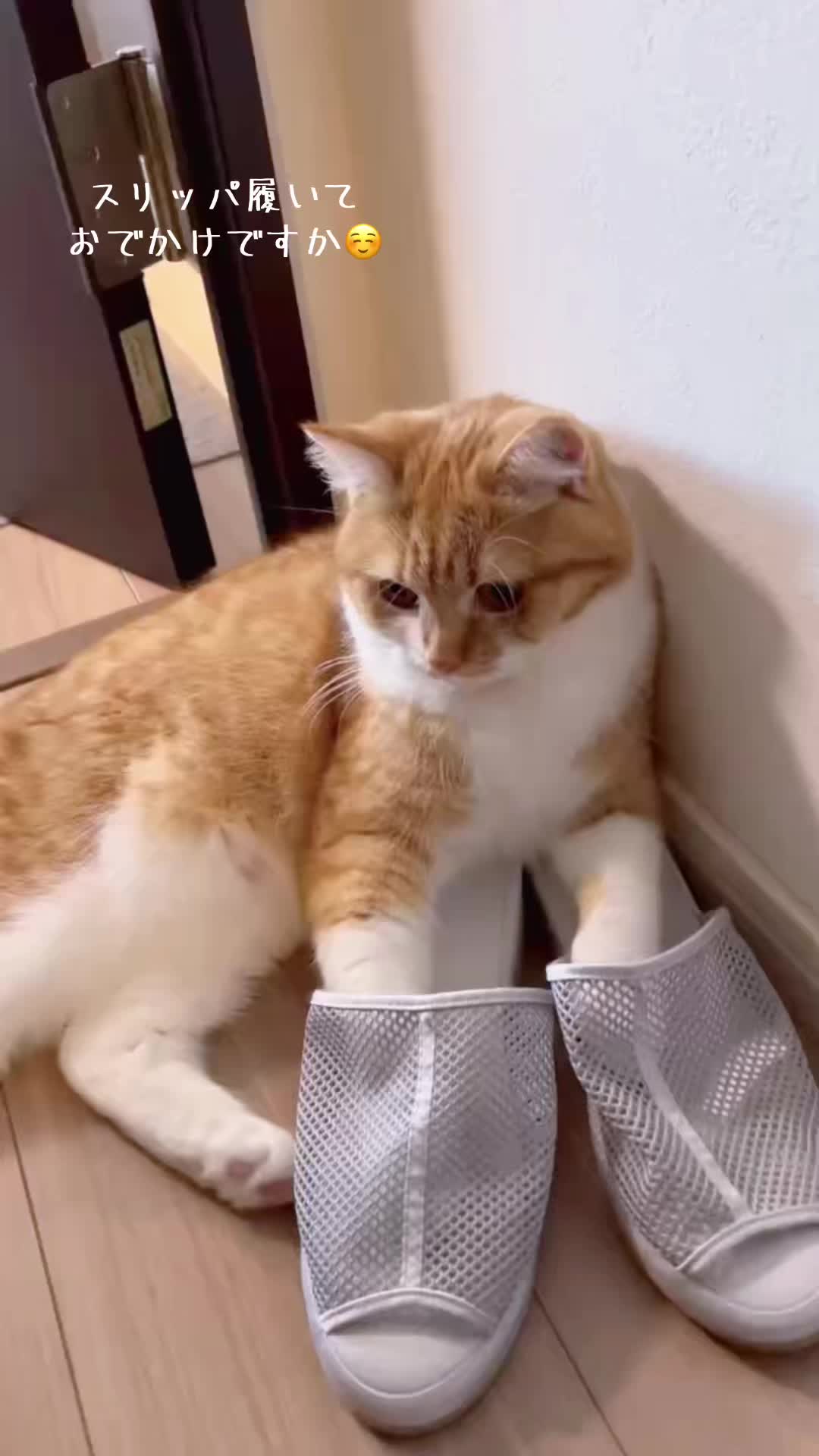@マロン