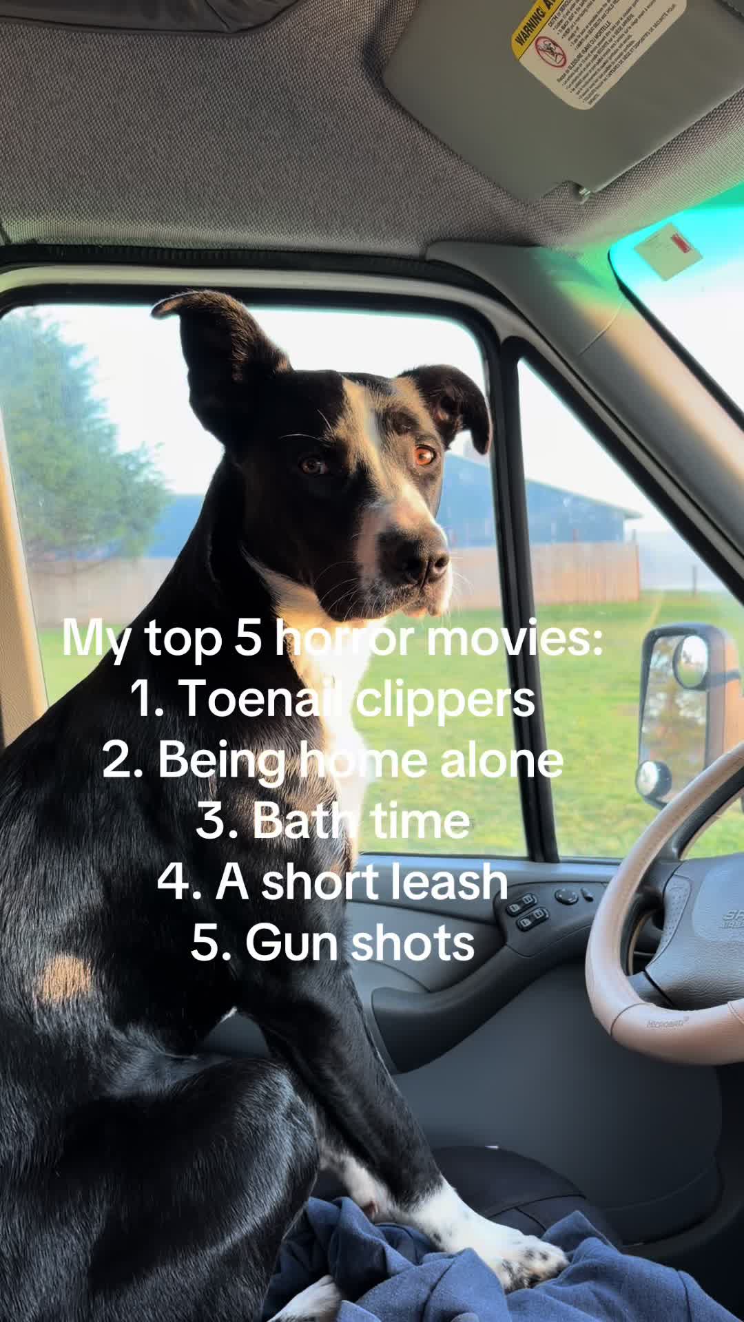 @oregonskyveek