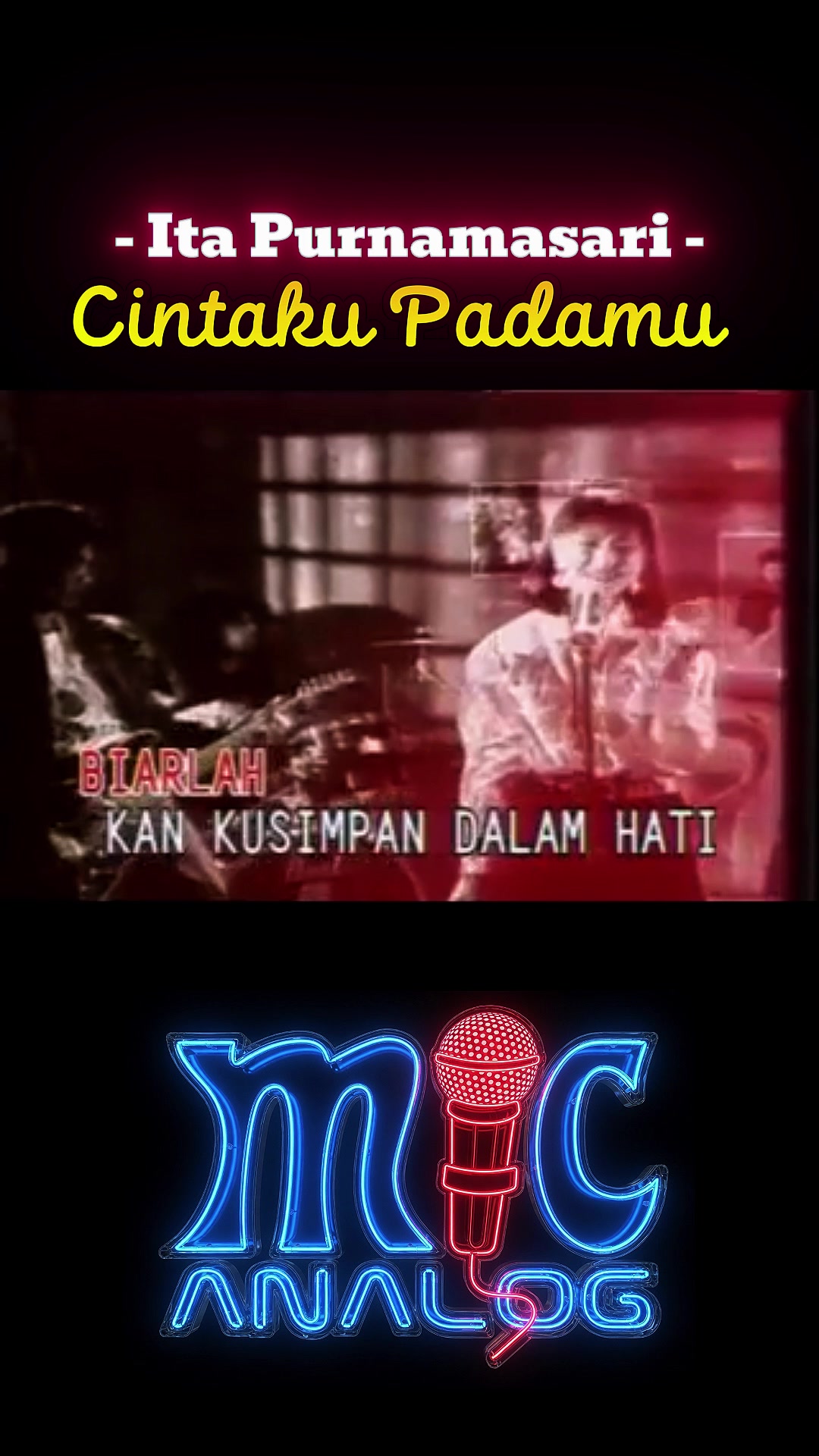 @mic analog