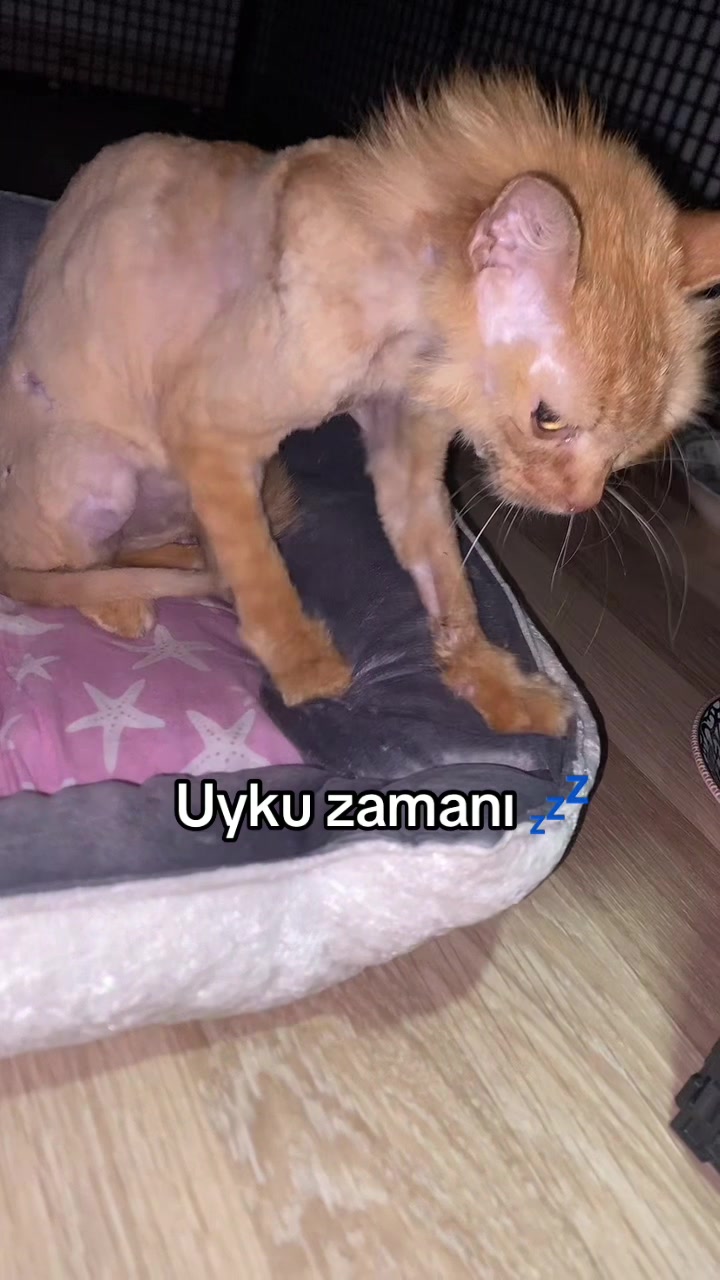 @yudummz_