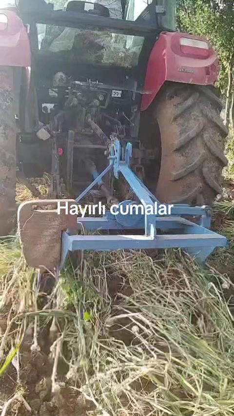 @mustafa Gül
