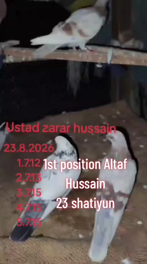 @Zarar Hussain