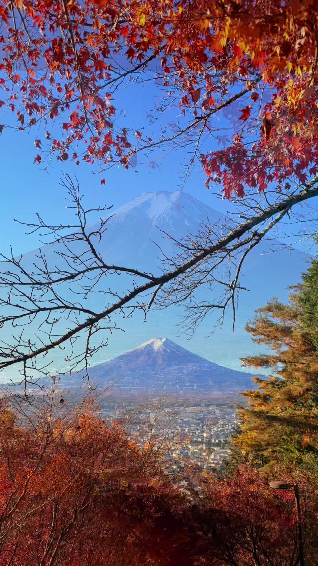 @NihonVoyages