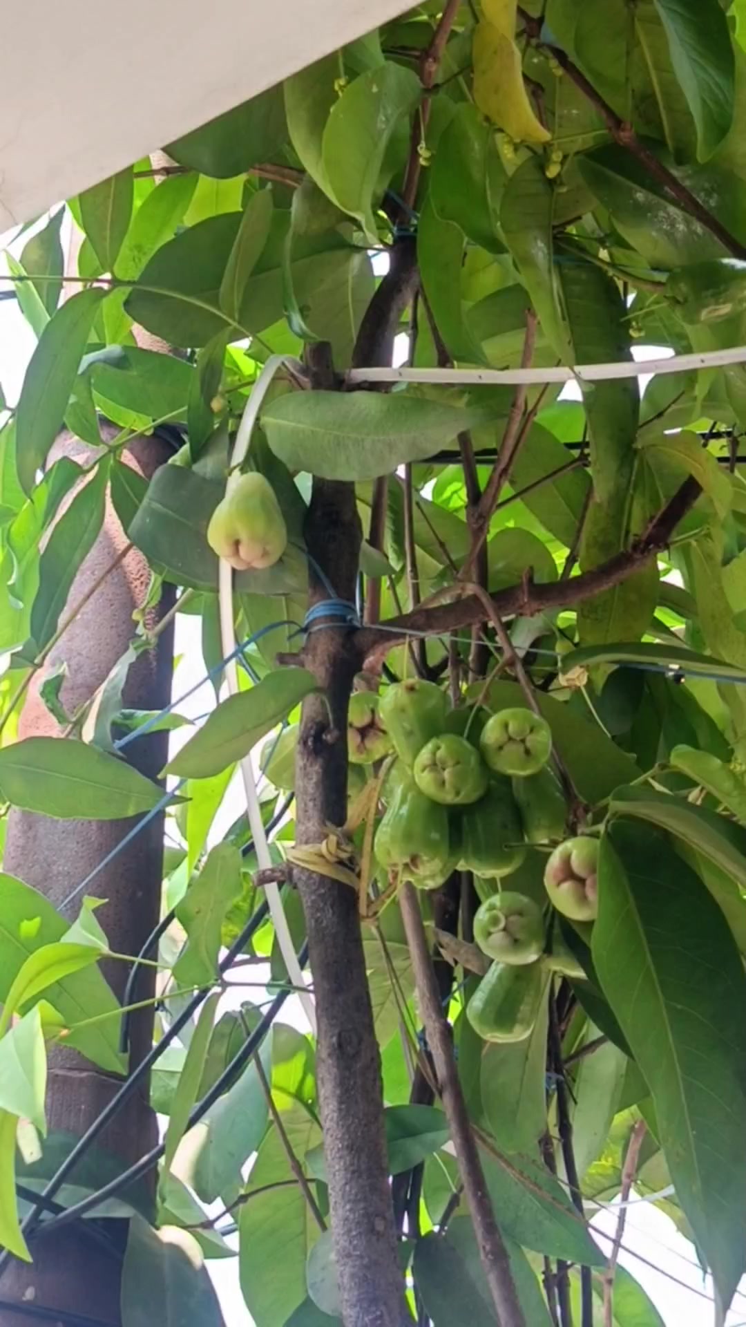 @𝐀𝐫𝐢_𝐂𝐢𝐚