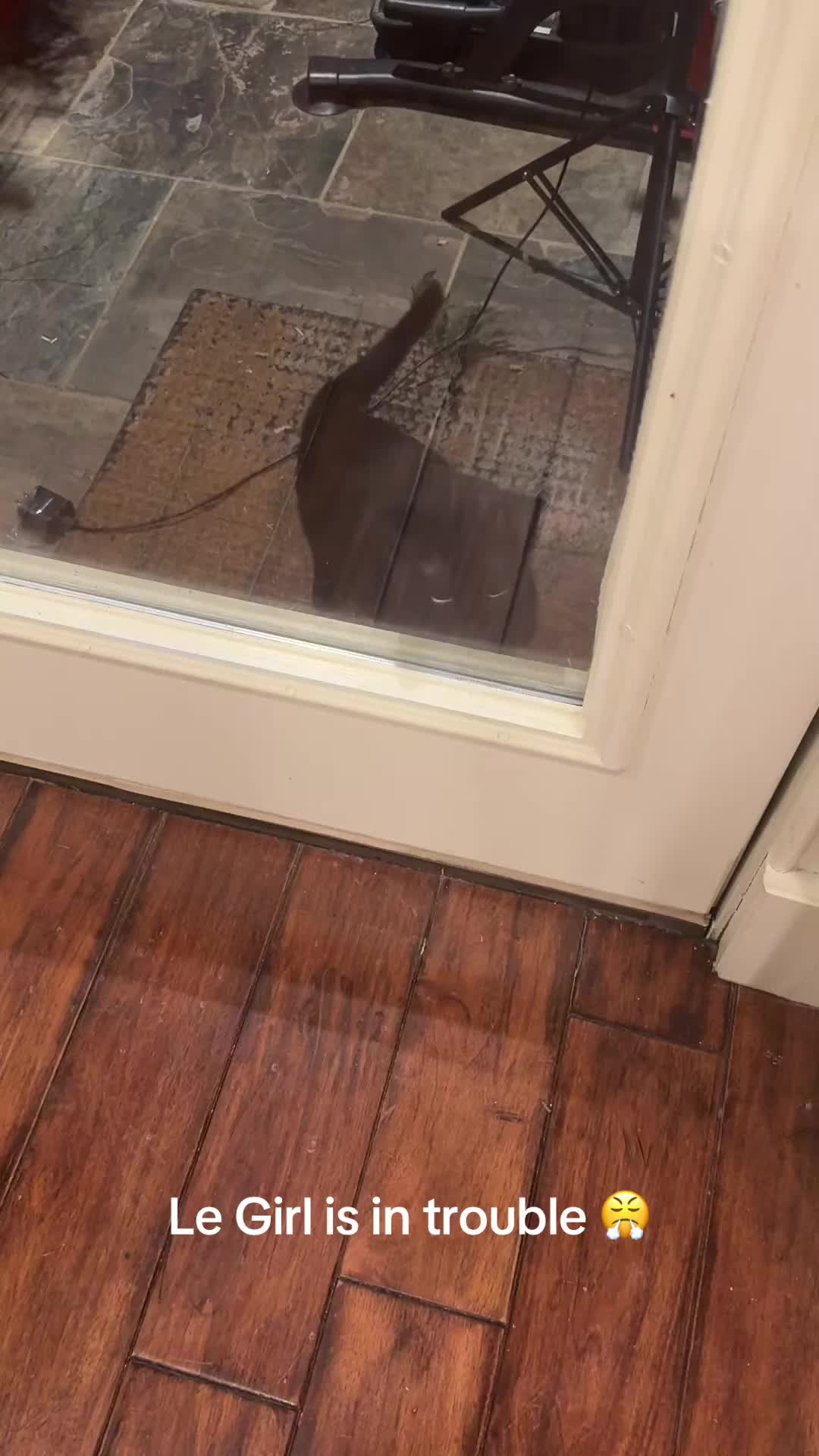 @Jonesbird