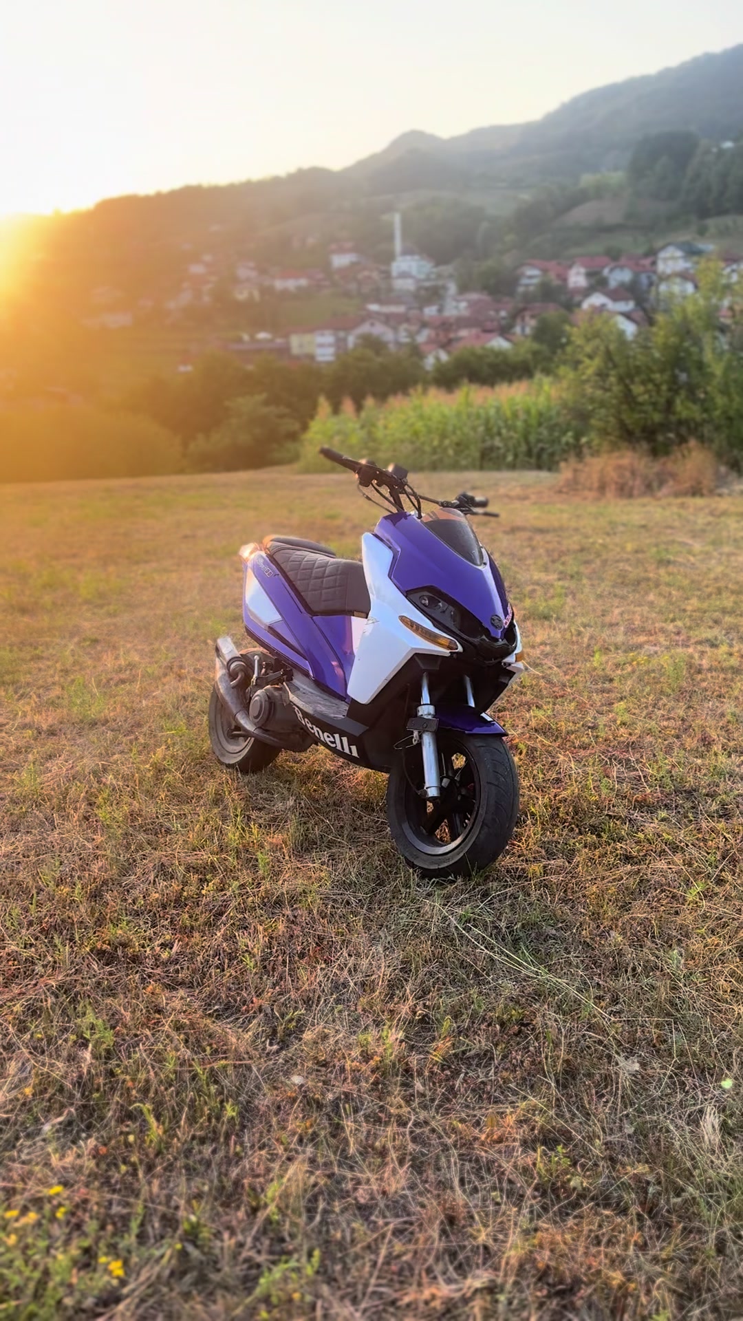 @Neso🇧🇷🤙