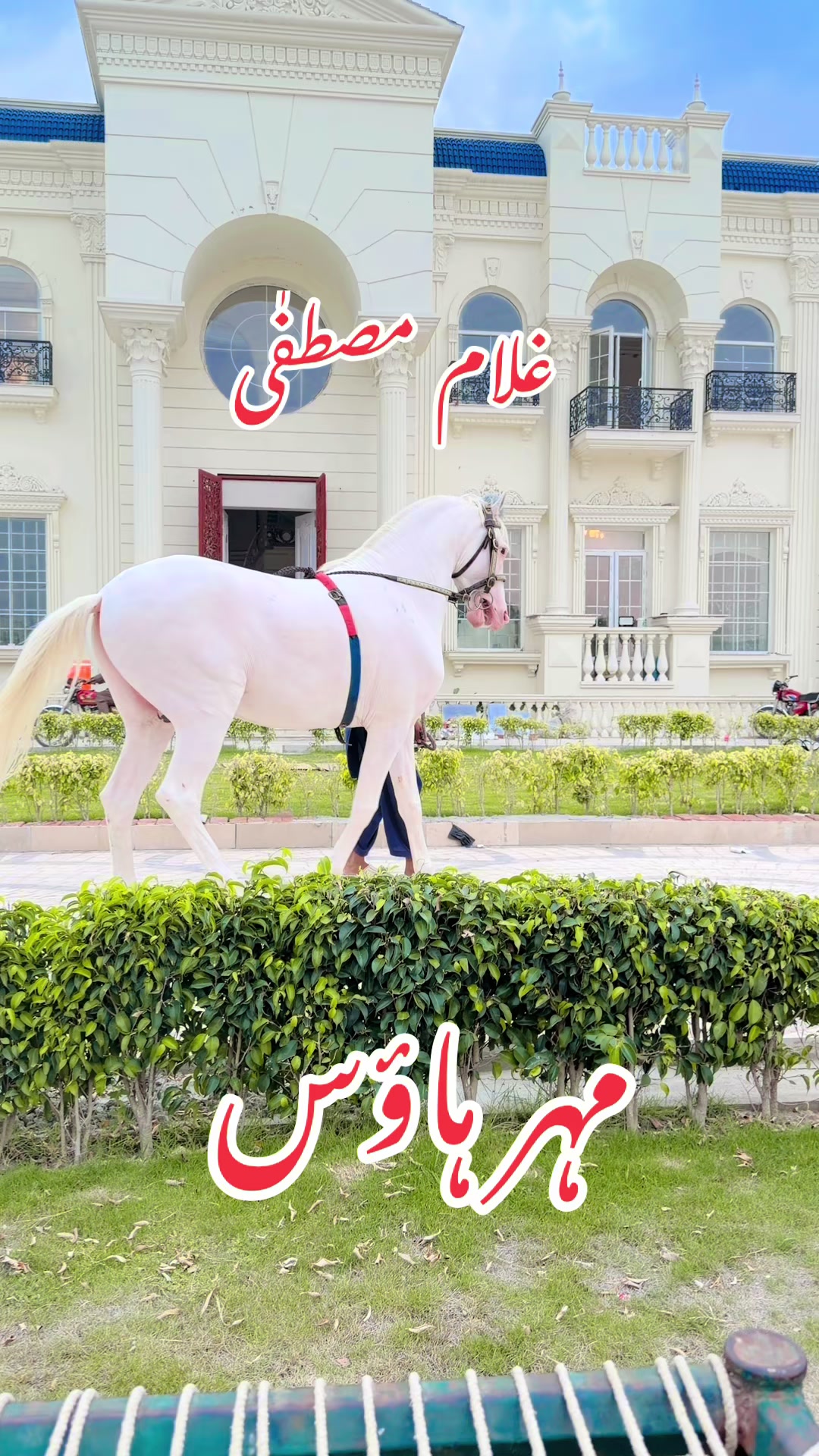 @Choudharysalamatmahr