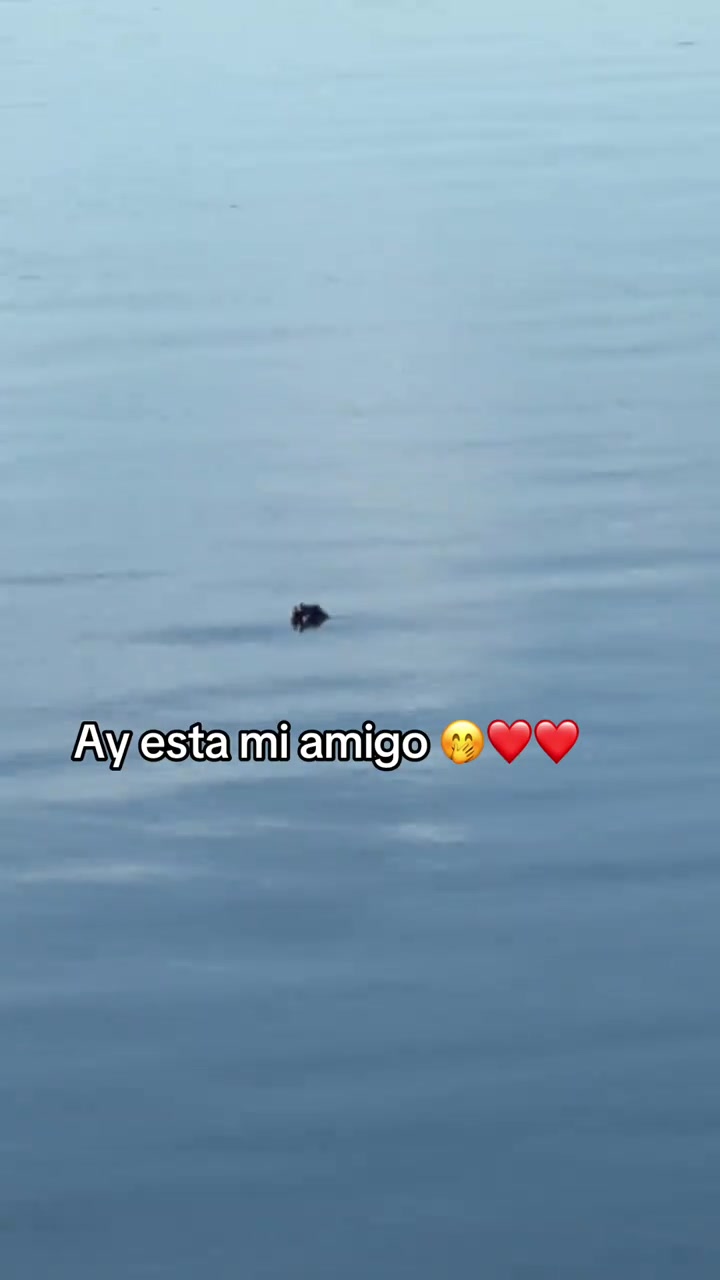 @laguerita.chula1