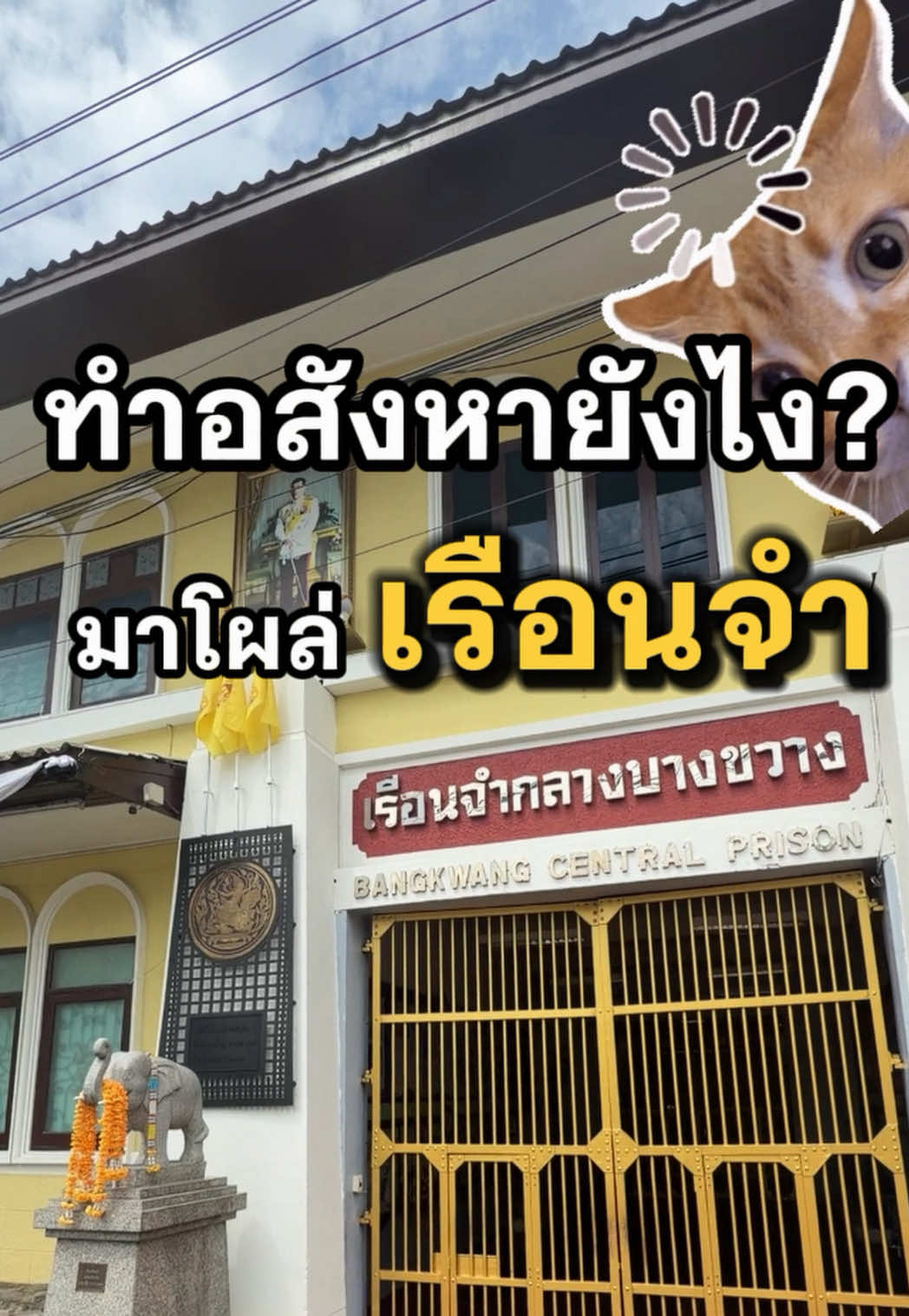 @Warmnest Property