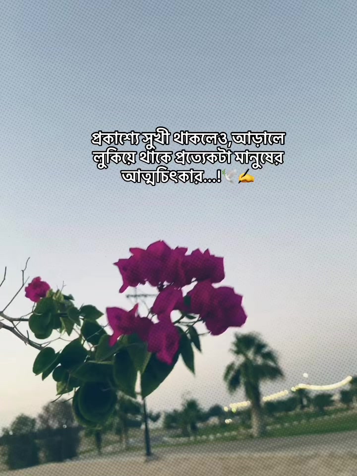 @Call Me Rakib⚡️