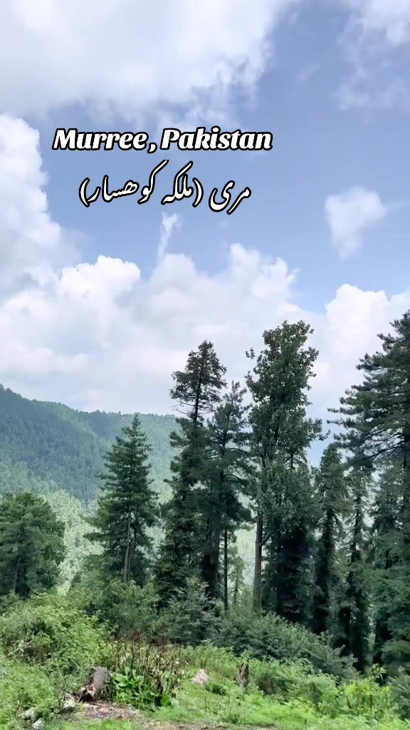 @𝐒𝐎𝐁İ𝐀𝐑𝐀𝐍𝐀🌼