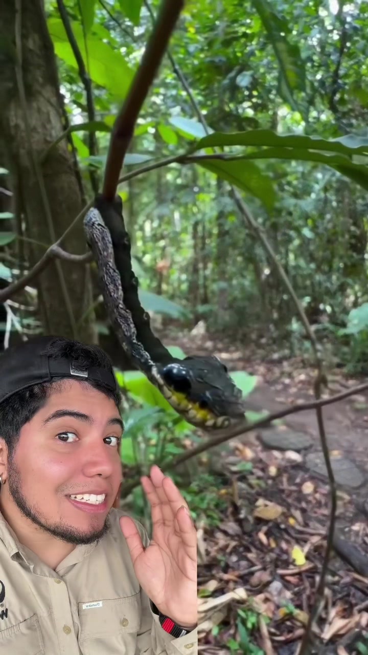 @Soy Sebassalvaje (dúos)