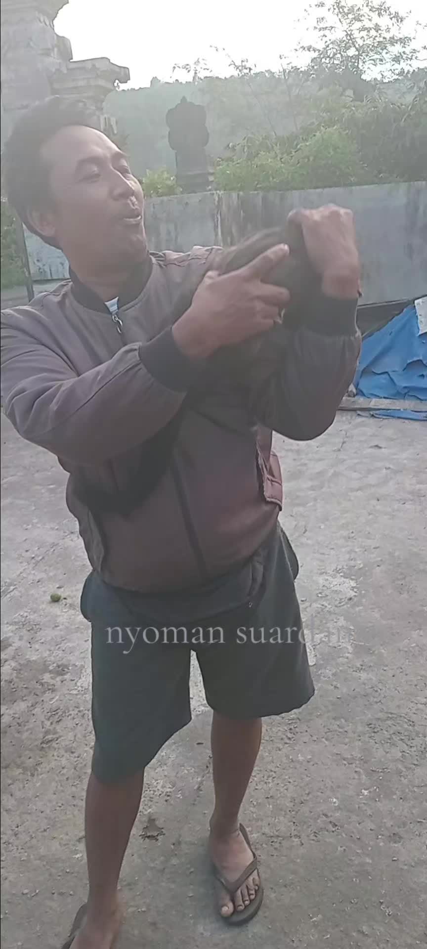 @Nyoman Suardana