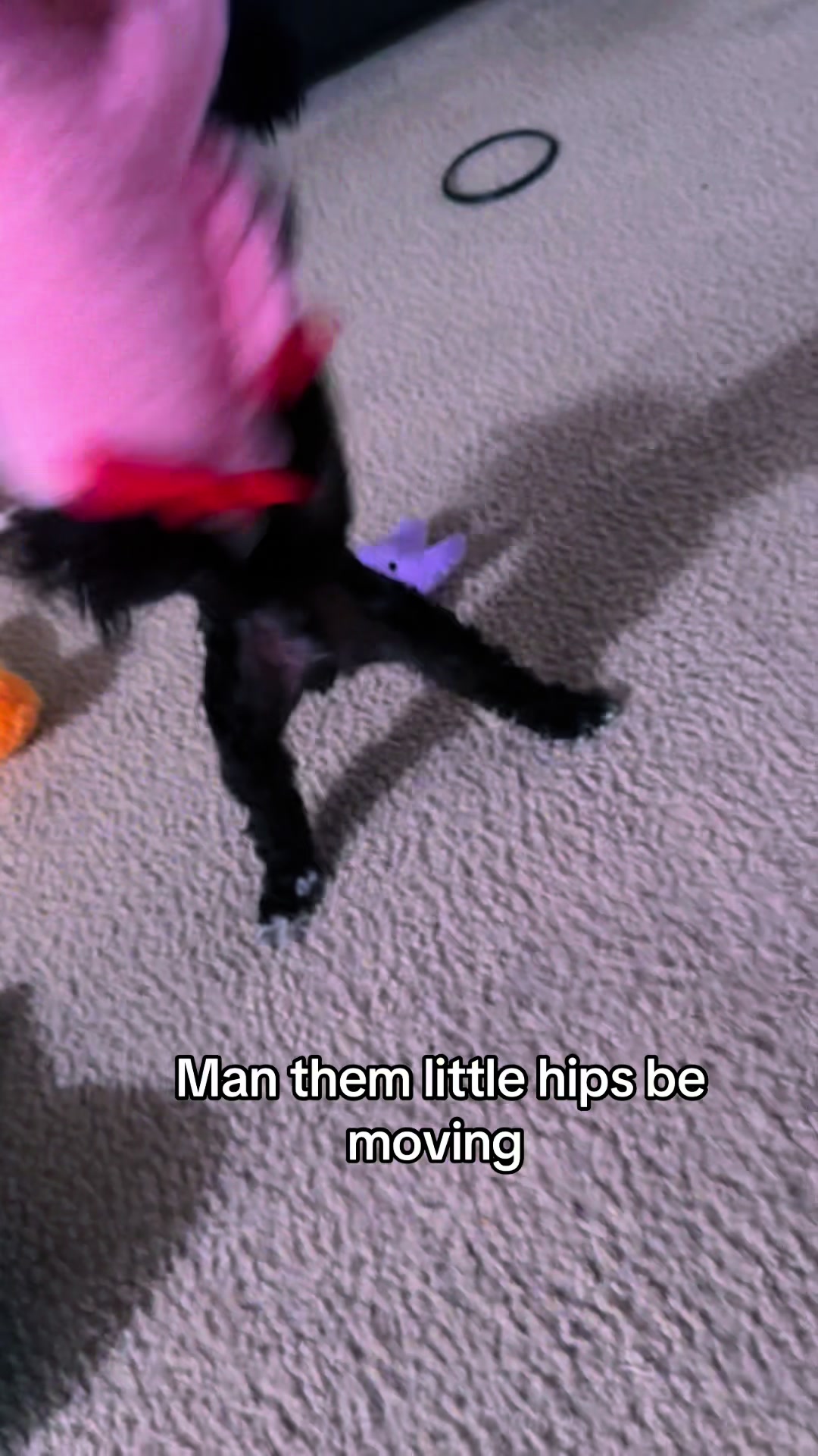 @Queen and Zuko