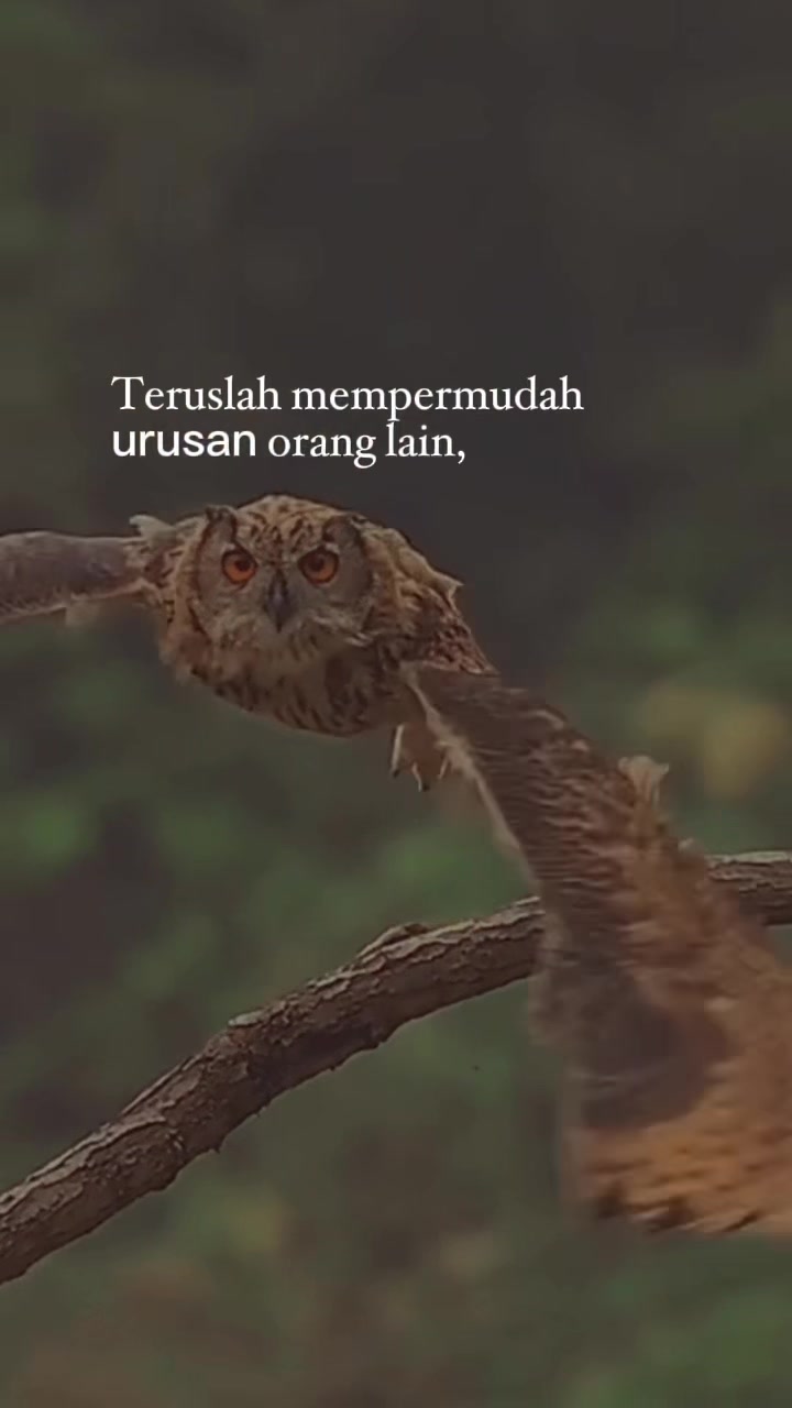 @Analia Kim