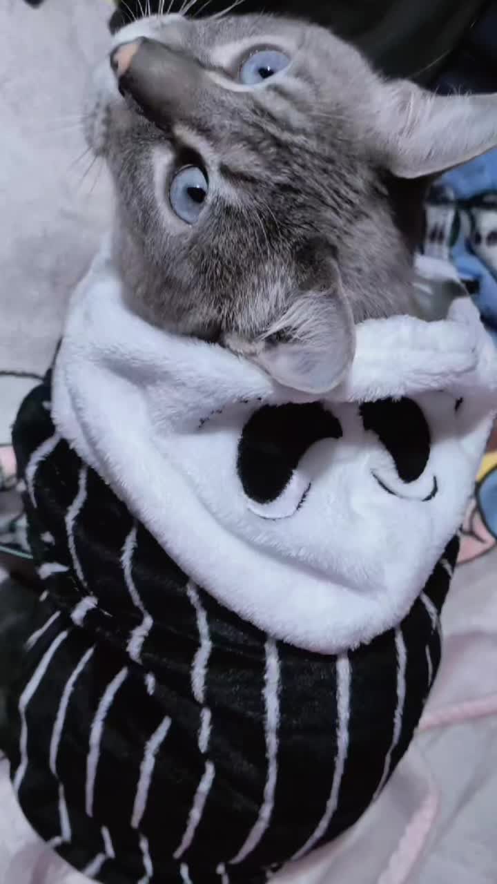 @Marianne 🩸🧛🏻♀️