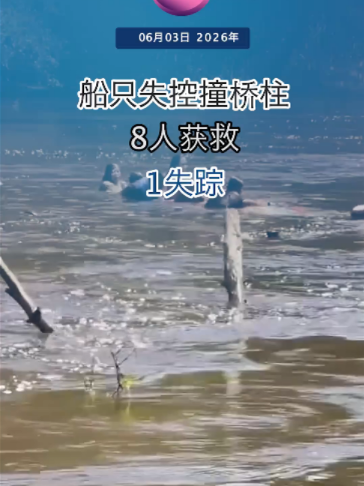 @中国报