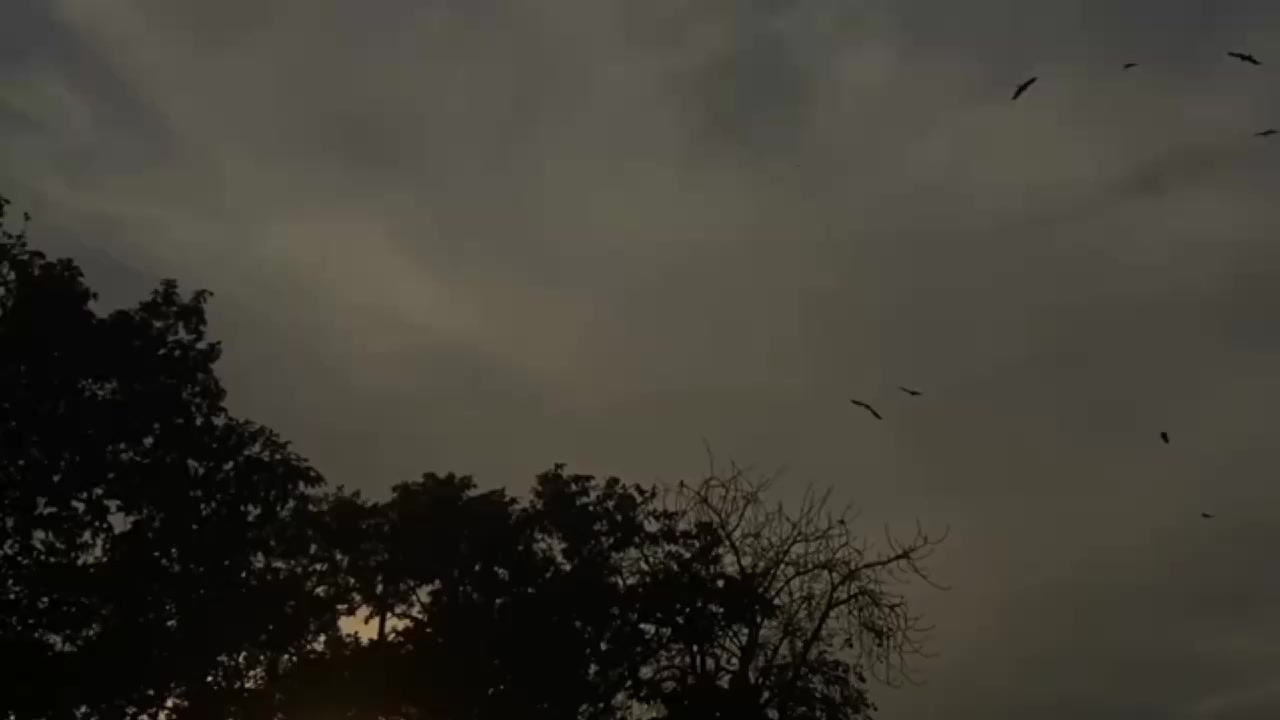 @𝙔𝙊𝙐𝙍𝙎_𝙉𝙊𝙊𝙉🌝