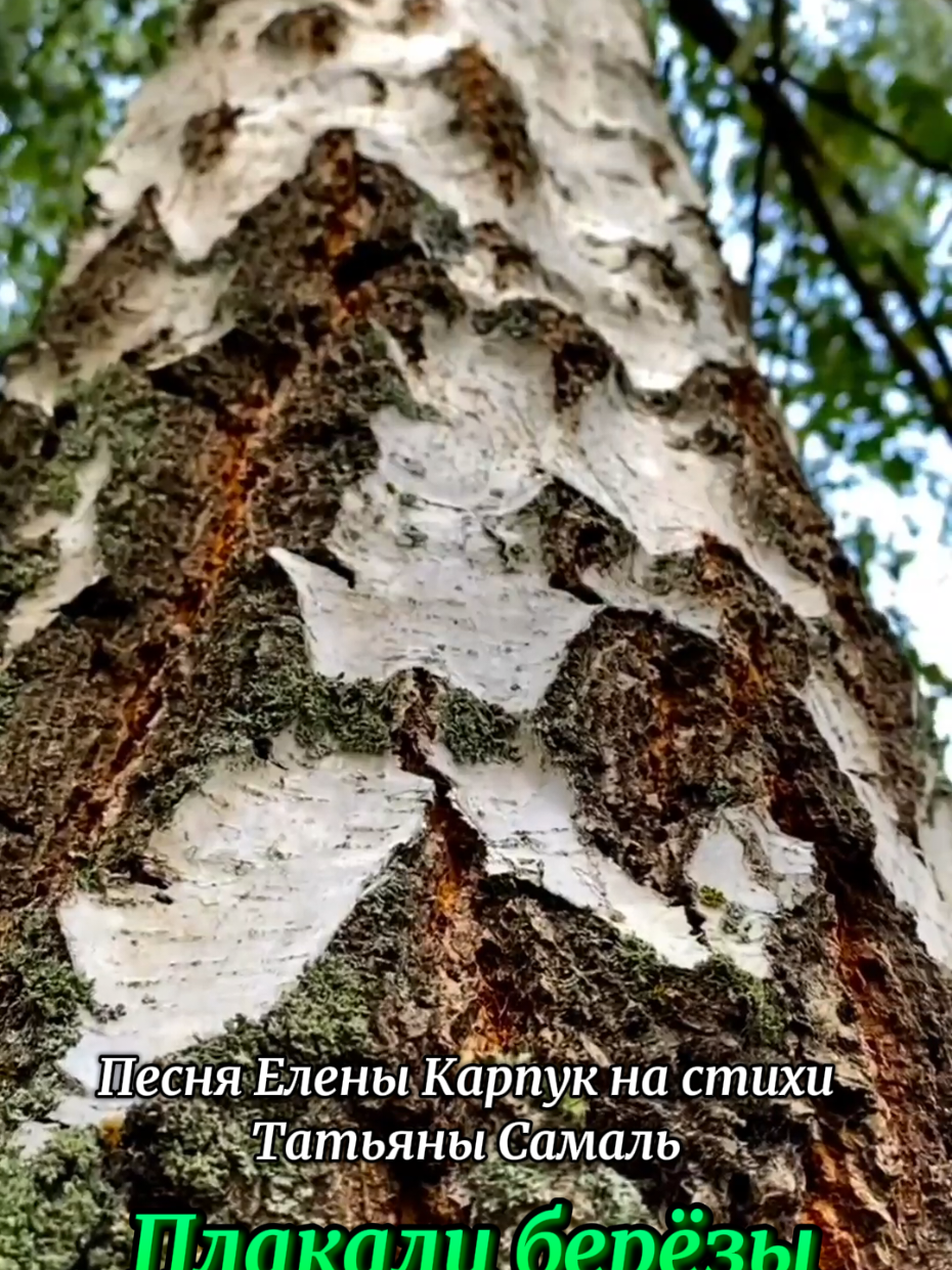 @Елена Карпук🇧🇾
