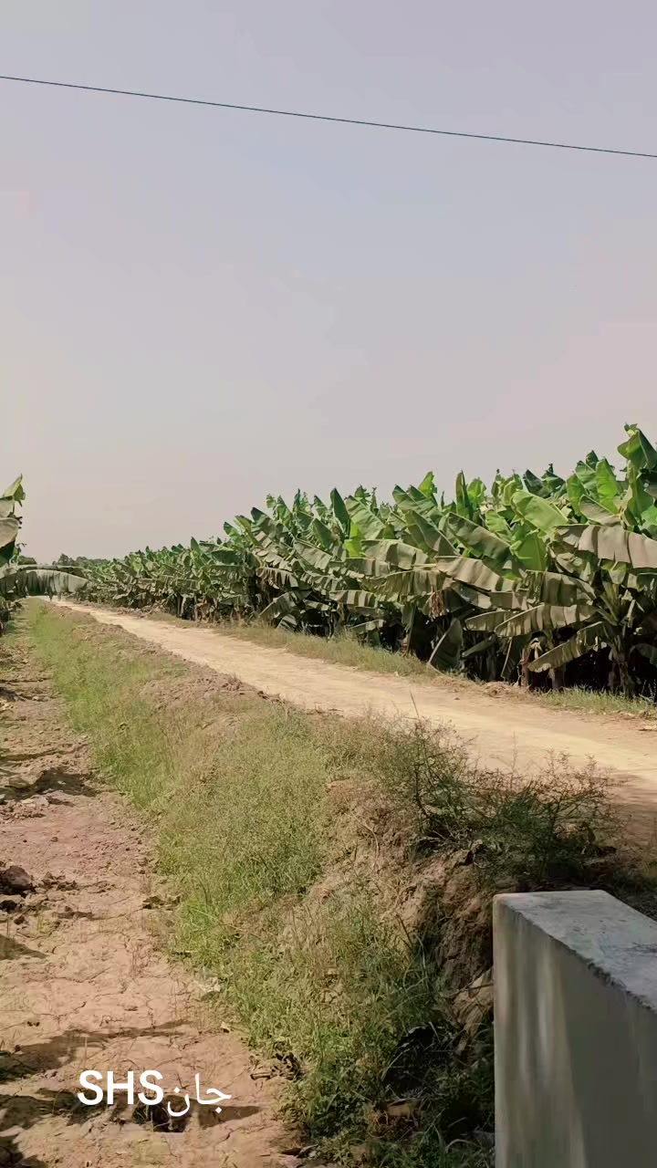 @harjikumar159