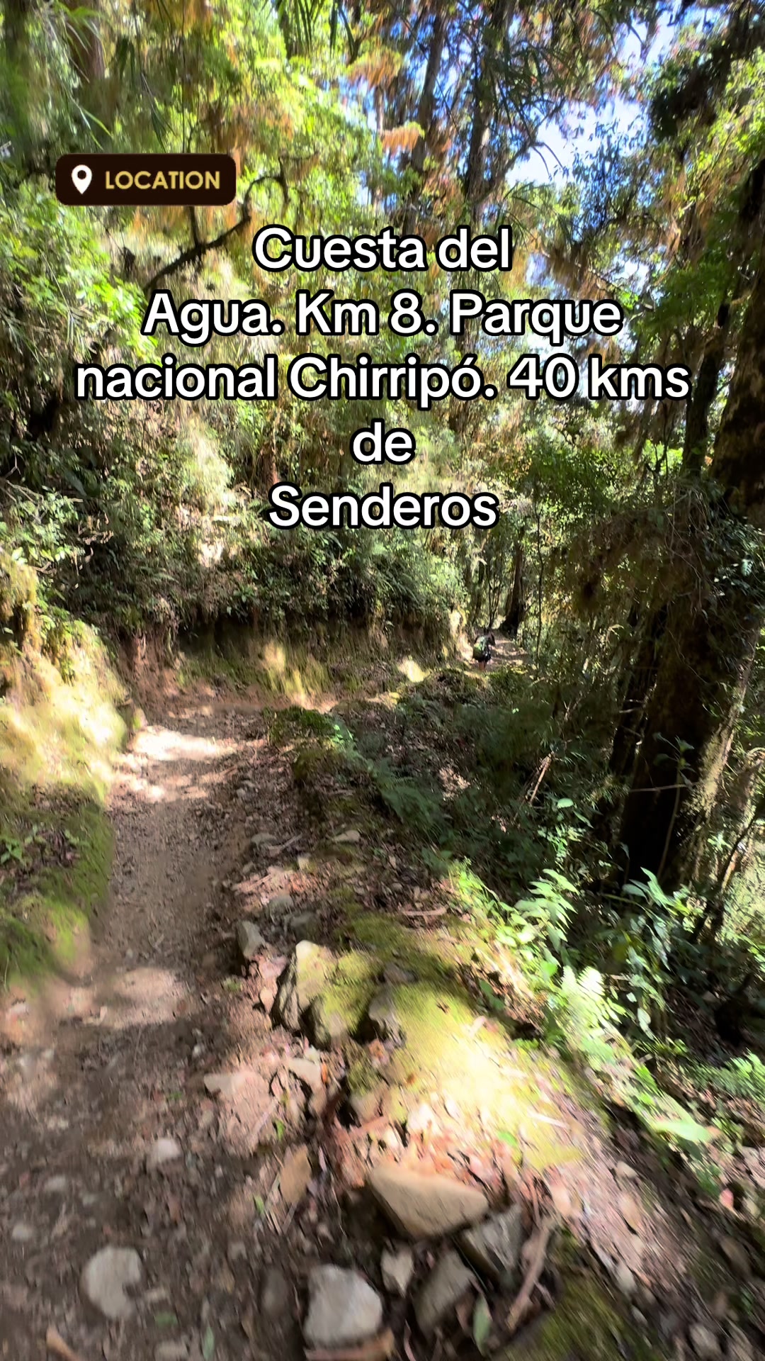 @Oxigenia Buseta Costa Rica