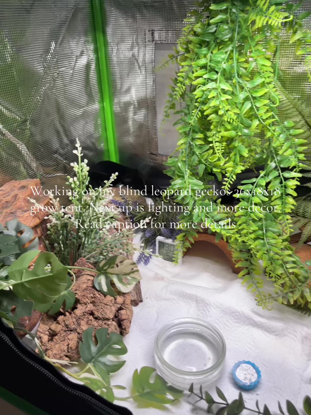 @kaciandherballs