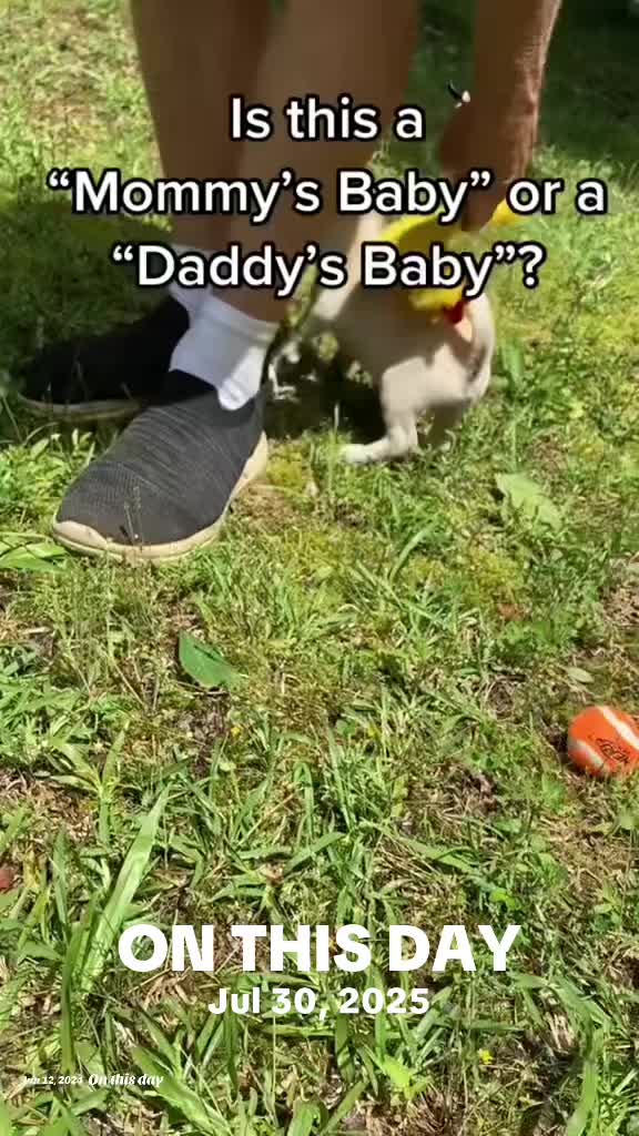 @PuppyMom