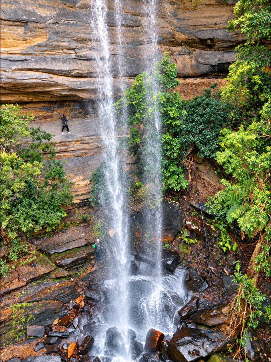 @Nature Love Australia ๐ด