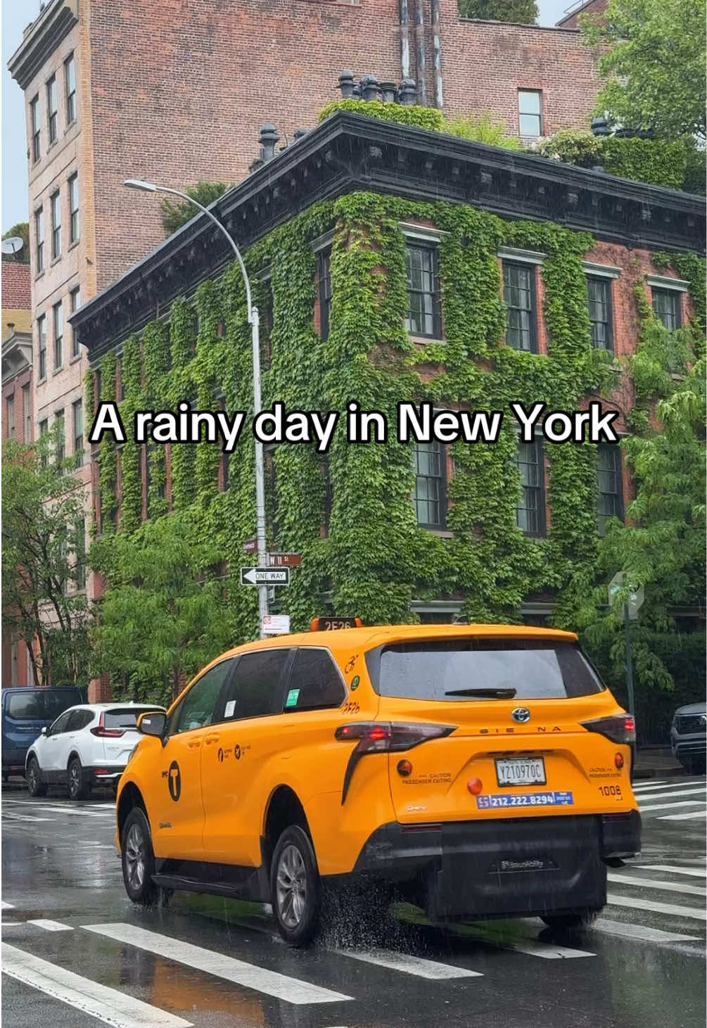 @onlymarty.nyc