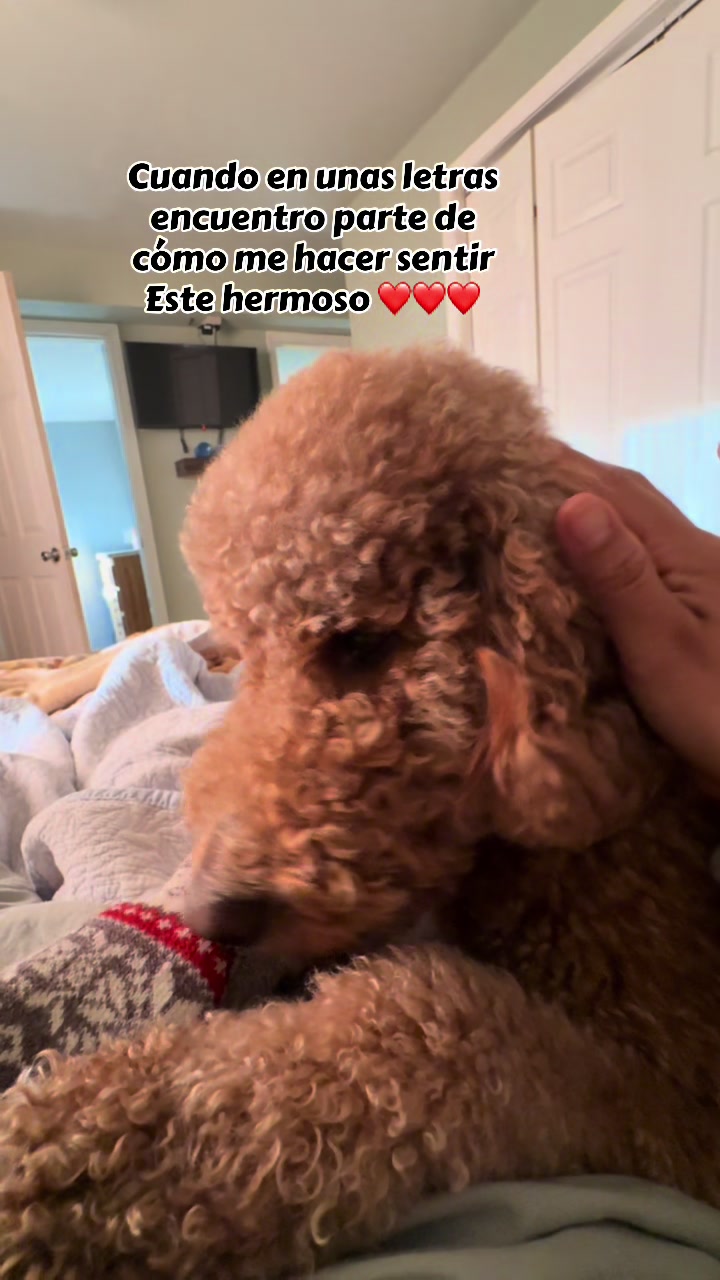@Reyna y Churro 🐶😍