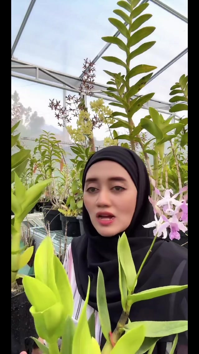@Anggina Orchid