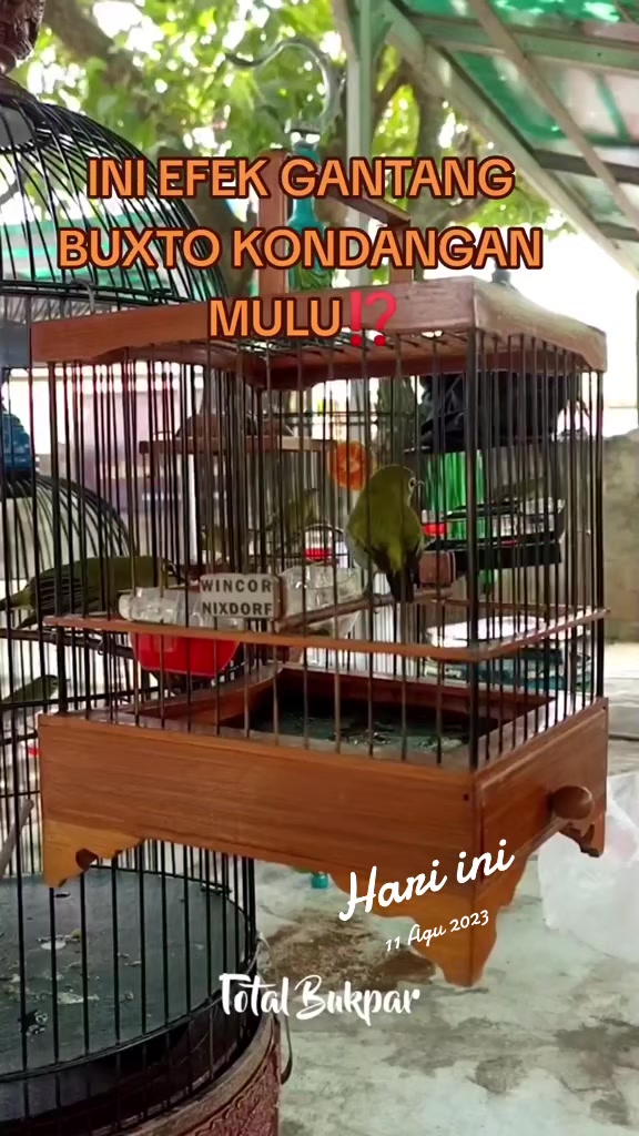 @totalbukpar