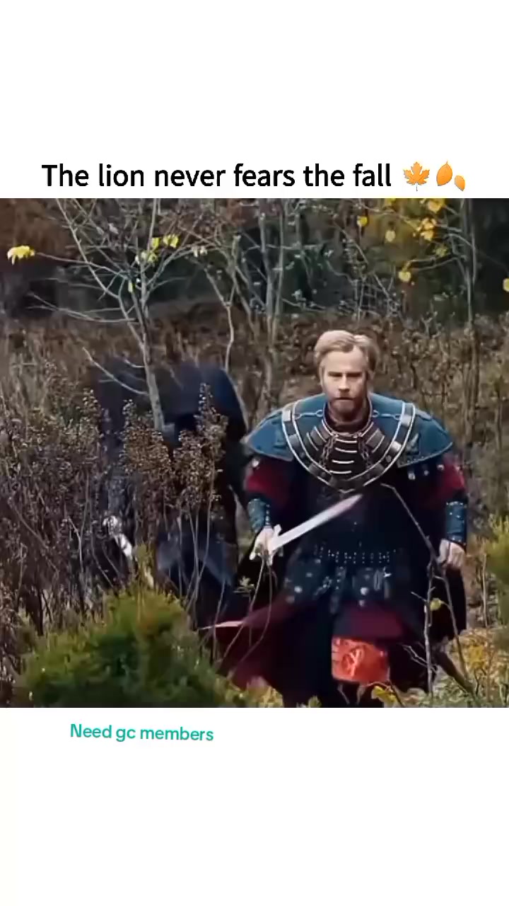 @๐ฒ๐๐๐๐๐๐ธ๐๐๐๐๐