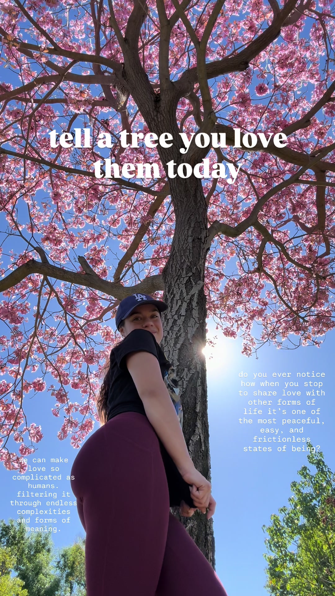 @siennanoe11e