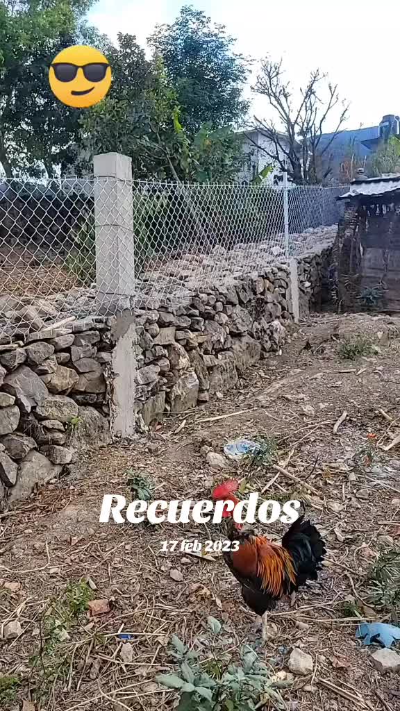 @fulgencio🤠