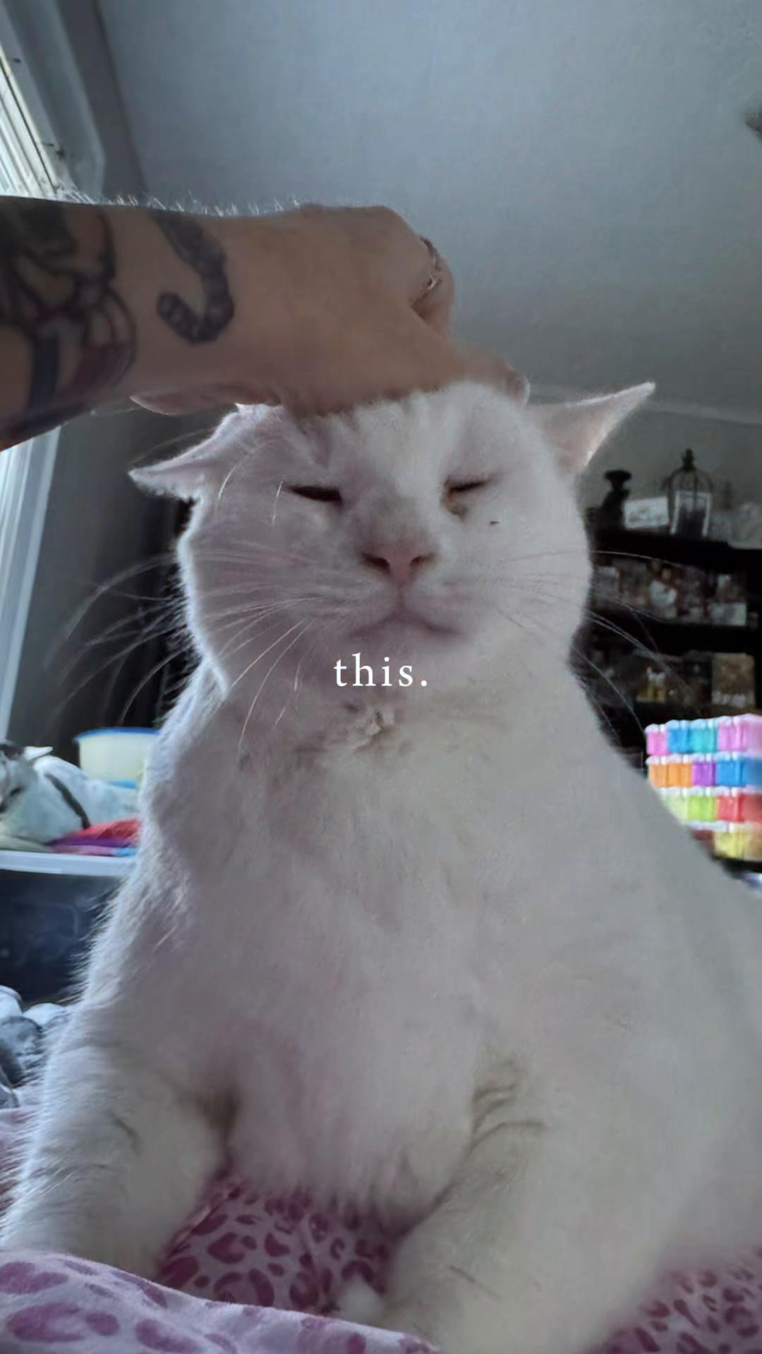 @Kimpossible