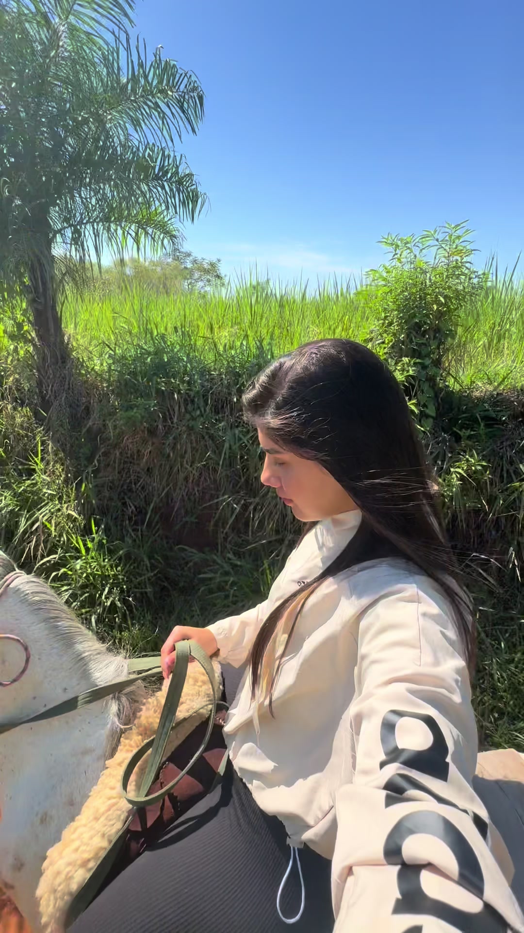 @Diana Villalba