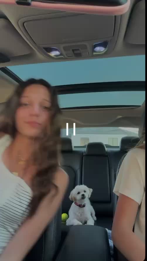 @paige elizabeth