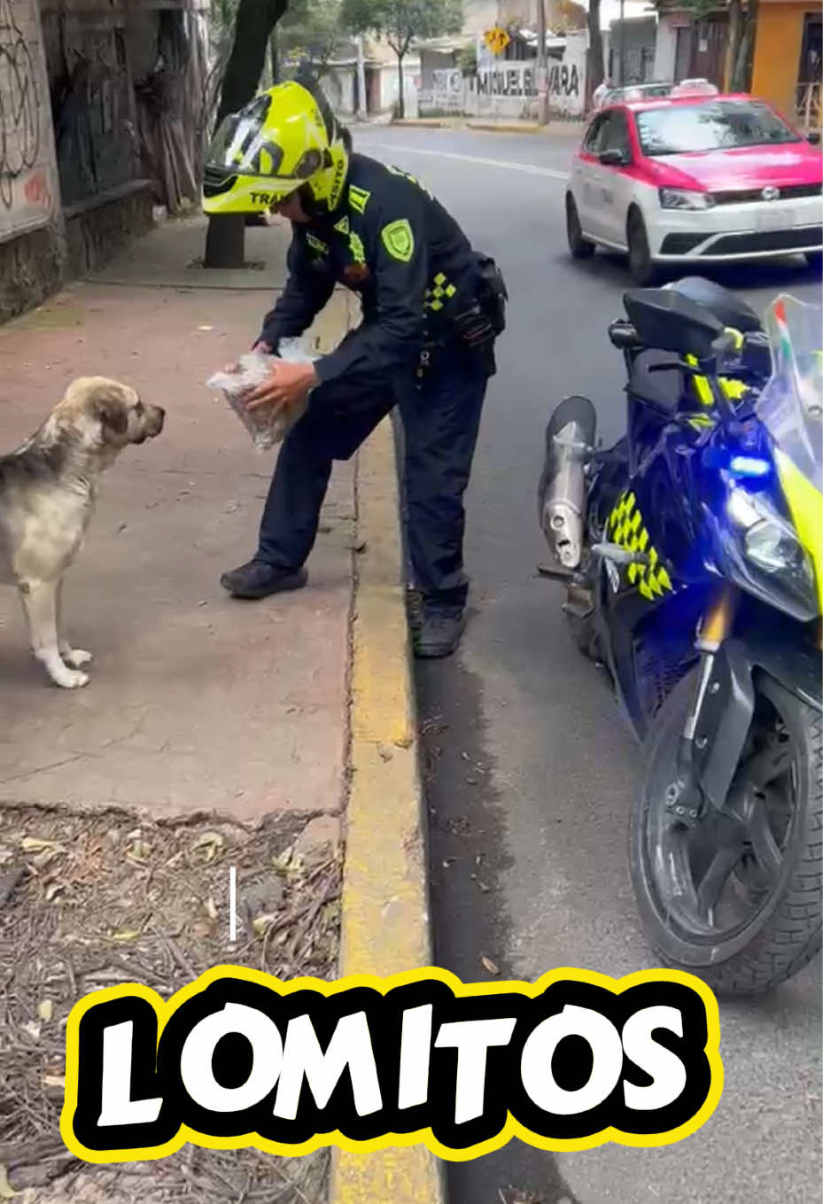 @SomosM&aacute;sLosBuenos🚔🚨