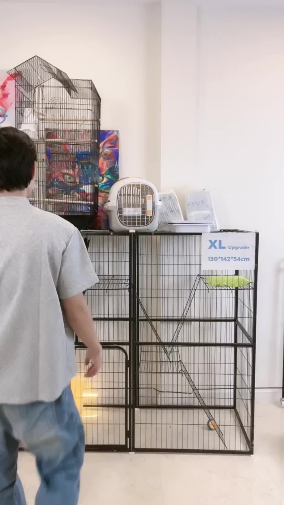 @petsland