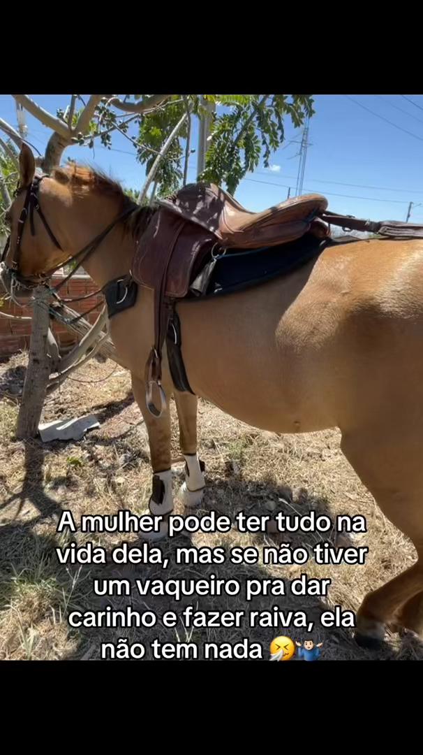 @Sofia Souza