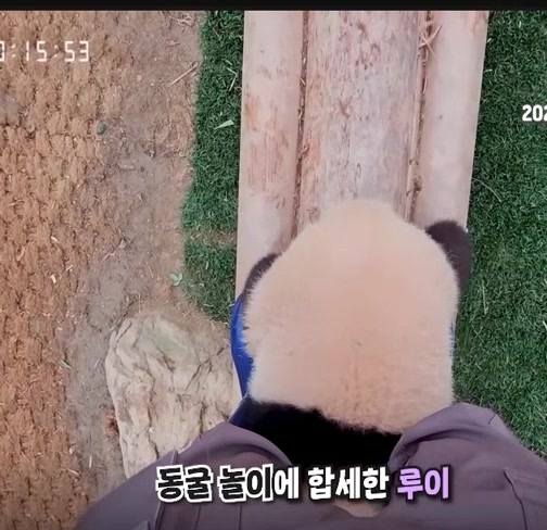 @K-PANDA kim